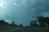 Tenterfield funnel picture