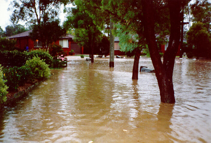 contributions received : Prospect, NSW<BR>Photo by Peter Brien   1 November 1987