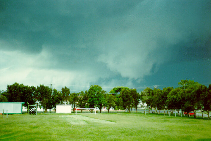 favourites michael_bath : Ballina, NSW   19 January 1989