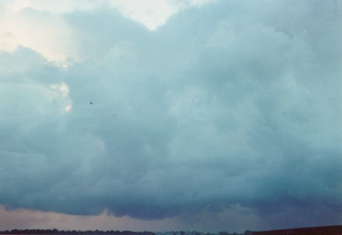 cumulus congestus : Schofields, NSW   25 February 1990