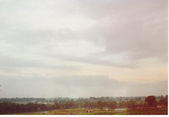 stratus stratus_cloud : Schofields, NSW   31 March 1990