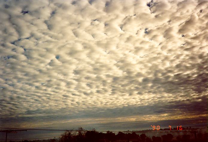 altocumulus mackerel_sky : Schofields, NSW   16 July 1990