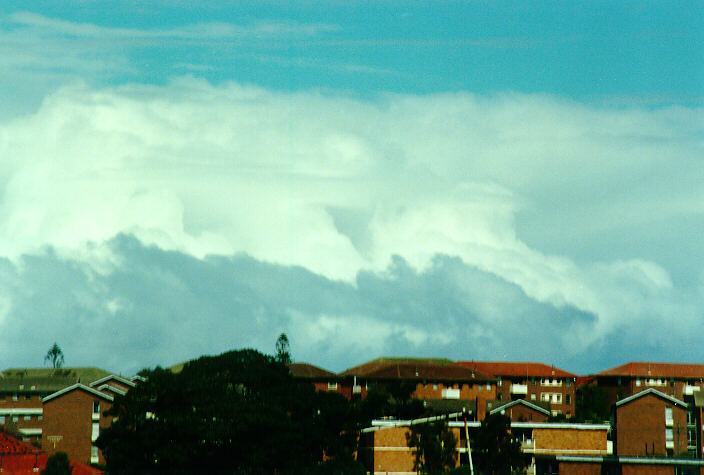 cumulus congestus : Coogee, NSW   29 September 1990