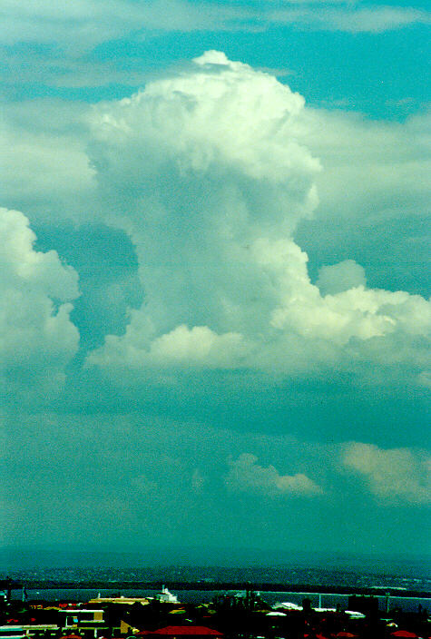 cumulus congestus : Coogee, NSW   1 October 1990