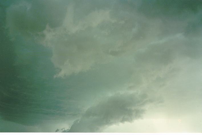 cumulonimbus thunderstorm_base : Schofields, NSW   9 November 1990
