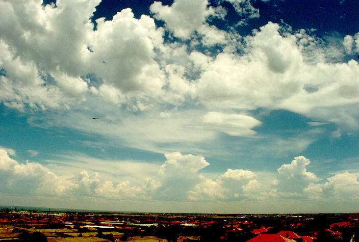 altocumulus castellanus : Coogee, NSW   20 January 1991