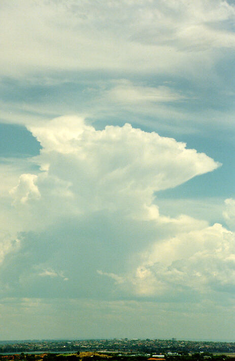 cirrus cirrus_cloud : Coogee, NSW   20 January 1991