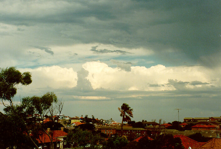 cumulus congestus : Coogee, NSW   20 January 1991