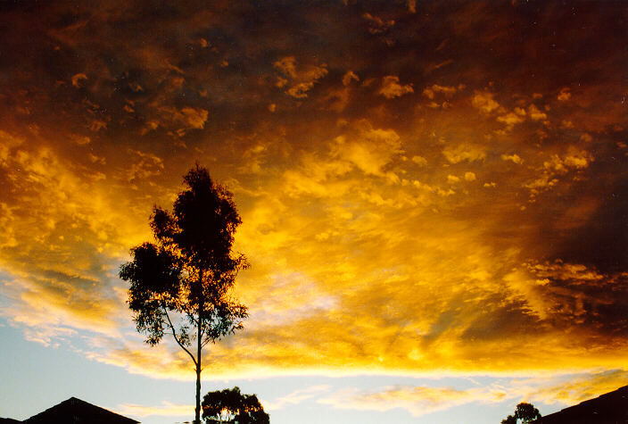 sunset sunset_pictures : Oakhurst, NSW   23 June 1991