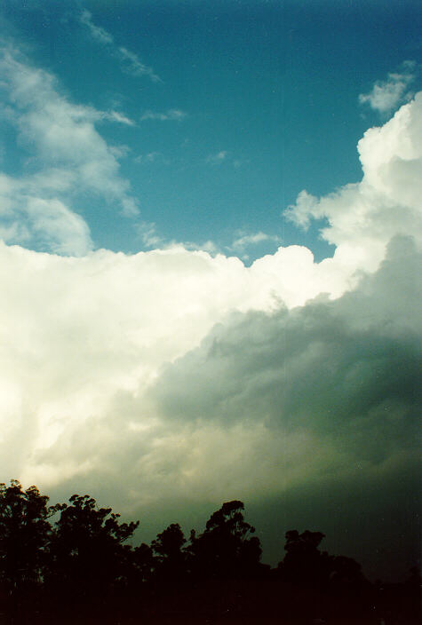 cumulus congestus : Oakhurst, NSW   14 December 1991