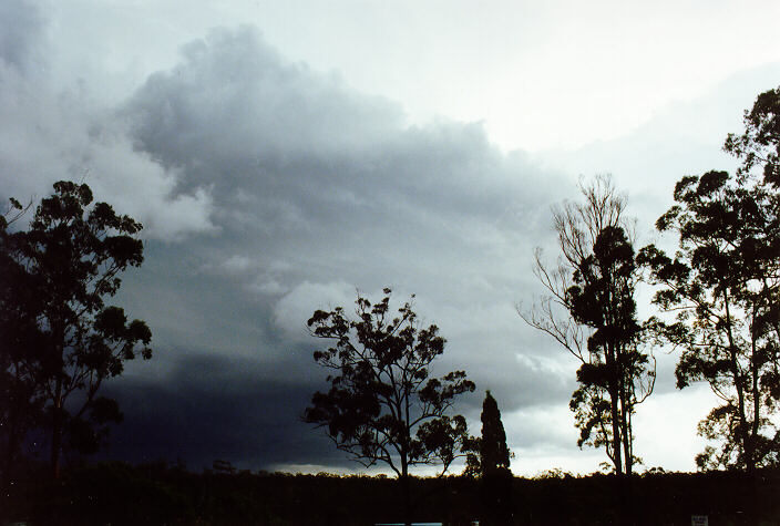 cumulonimbus thunderstorm_base : South Kempsey, NSW   21 December 1991