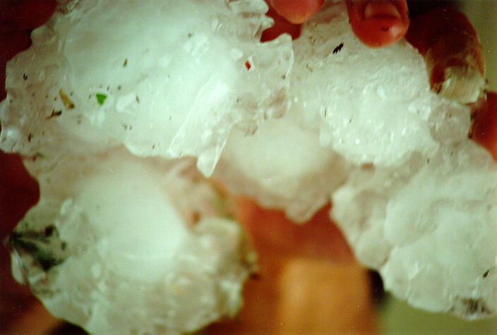 hailstones hail_stones : South Kempsey, NSW   21 December 1991