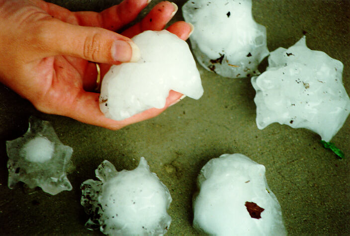 hailstones hail_stones : South Kempsey, NSW   21 December 1991