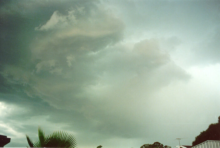 cumulonimbus thunderstorm_base : Oakhurst, NSW   23 January 1992