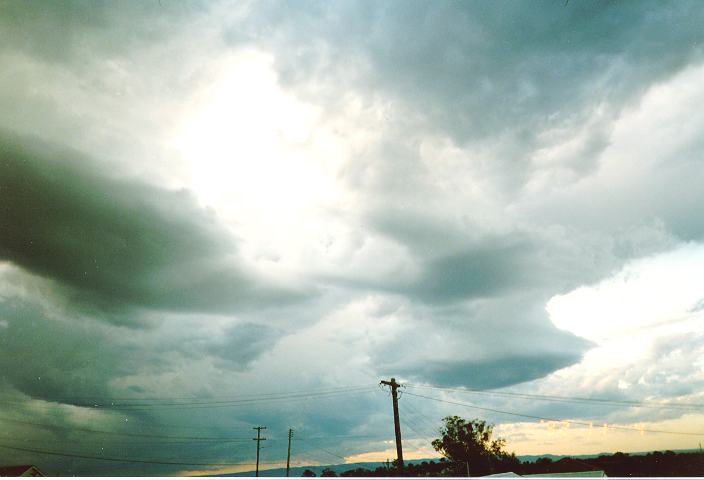 cumulus congestus : Schofields, NSW   4 November 1992