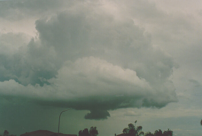cumulus congestus : Oakhurst, NSW   29 November 1992