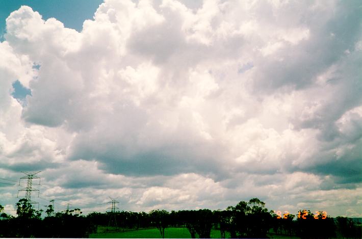 cumulus congestus : Schofields, NSW   23 December 1992