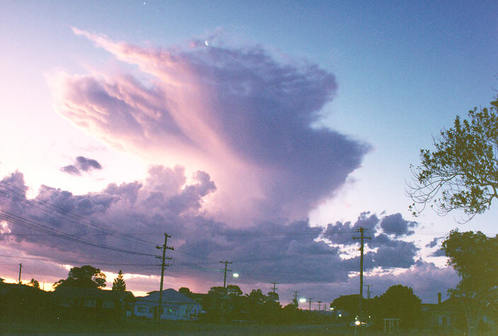 cumulus congestus : Ballina, NSW   28 December 1992