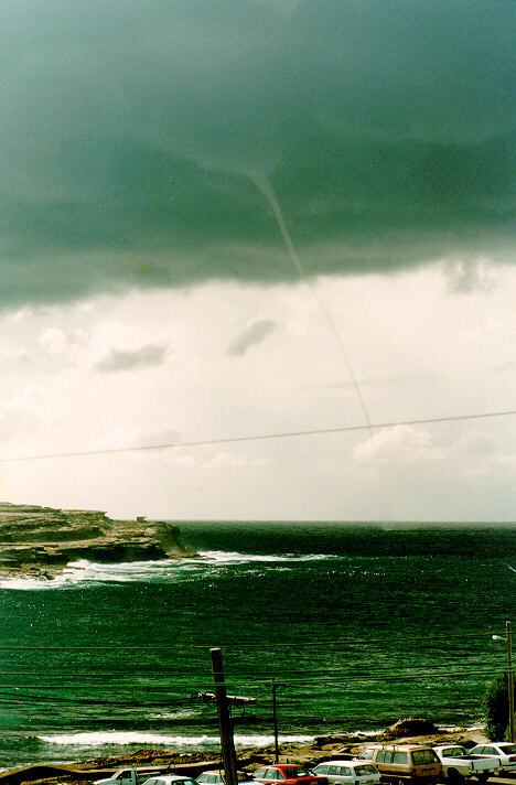 contributions received : Malabar, NSW<BR>Photo by Anna Foley   29 March 1993