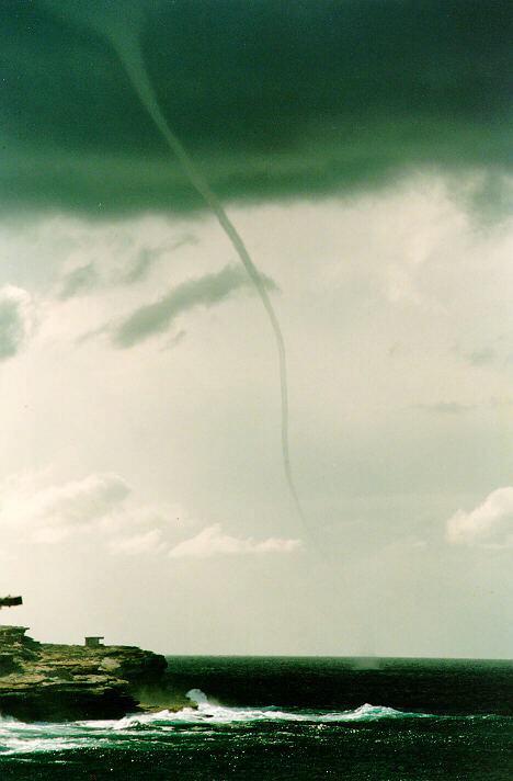 contributions received : Malabar, NSW<BR>Photo by Anna Foley   29 March 1993