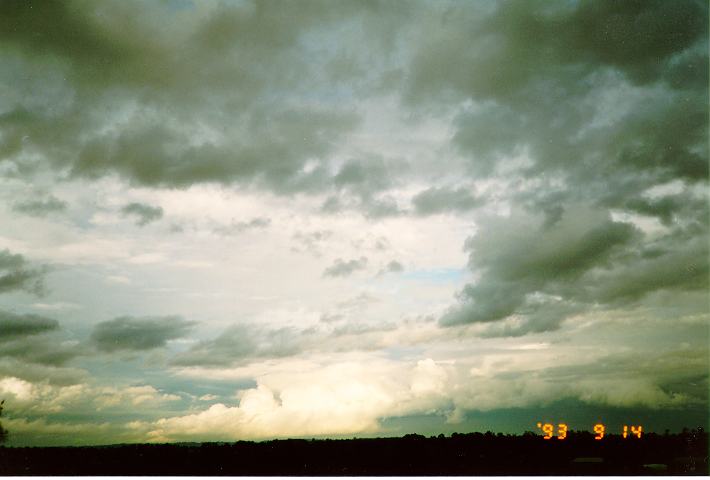 cumulus mediocris : Schofields, NSW   14 September 1993