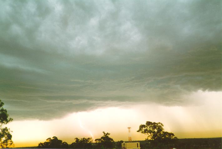 lightning lightning_bolts : Riverstone, NSW   19 November 1993