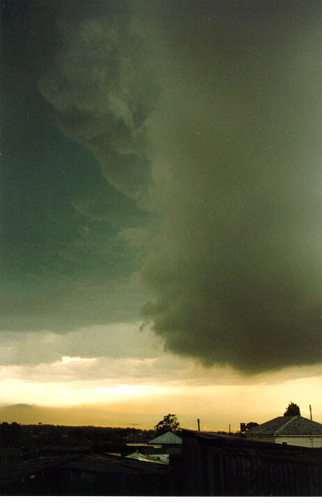 shelfcloud shelf_cloud : Schofields, NSW   19 November 1993