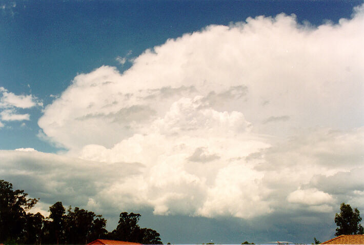thunderstorm cumulonimbus_incus : Oakhurst, NSW   4 December 1993