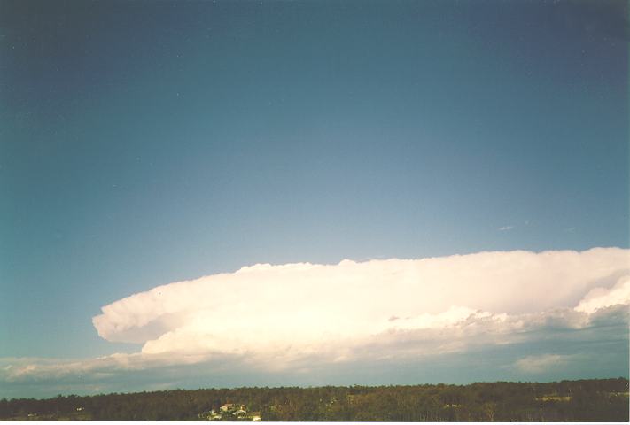 cumulonimbus supercell_thunderstorm : Schofields, NSW   26 December 1993