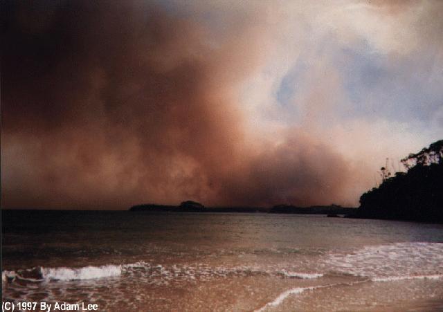 contributions received : Batemans Bay, NSW<BR>Photo by Adam Lee   3 January 1994