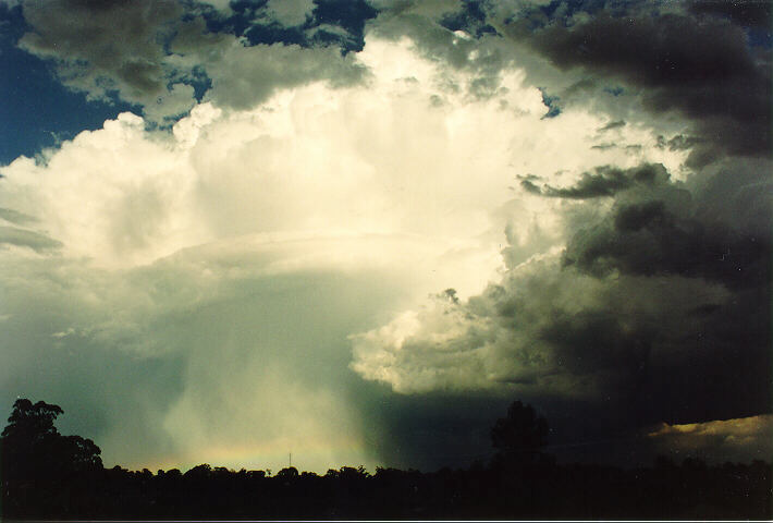 thunderstorm cumulonimbus_incus : Oakhurst, NSW   17 January 1994