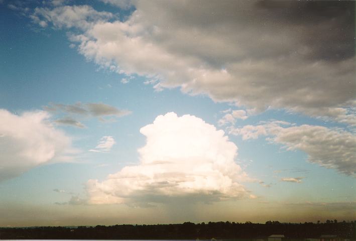 cumulus congestus : Schofields, NSW   1 May 1994