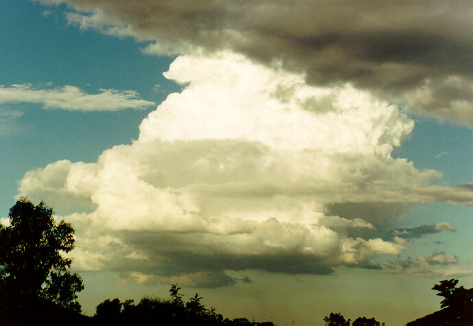 cumulus congestus : Oakhurst, NSW   1 May 1994