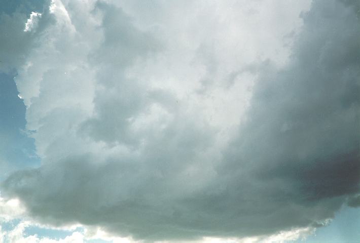 cumulonimbus thunderstorm_base : Schofields, NSW   13 September 1994