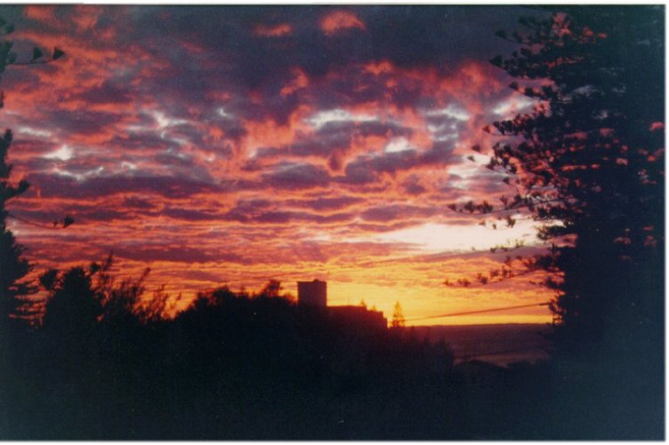 contributions received : Cotteslow Beach, WA<BR>Photo by Agnieszka King   1 December 1994