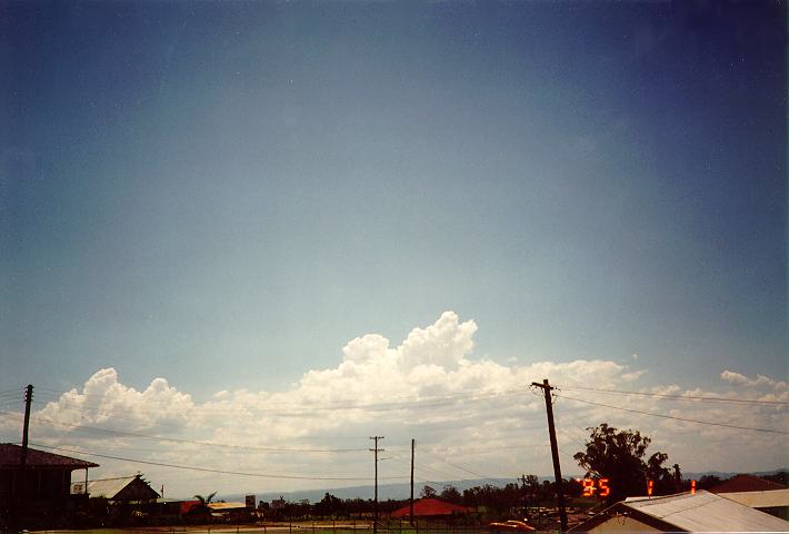 cumulus congestus : Schofields, NSW   1 January 1995