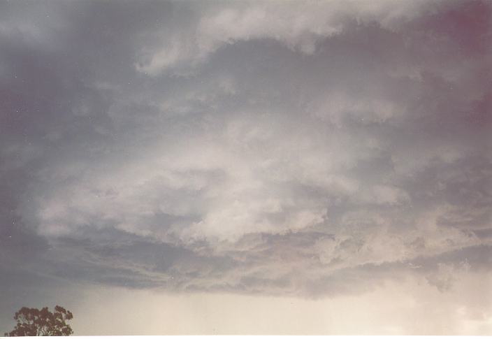 cumulonimbus thunderstorm_base : Schofields, NSW   1 January 1995