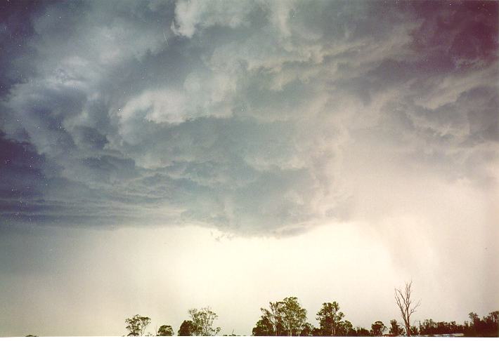 cumulonimbus thunderstorm_base : Schofields, NSW   1 January 1995