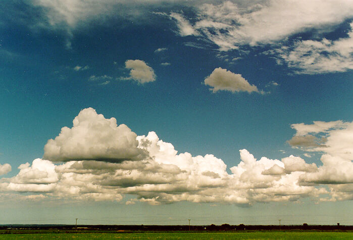 cirrus cirrus_cloud : Richmond, NSW   29 January 1995