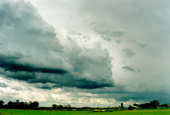 cumulus congestus : Richmond, NSW   29 January 1995
