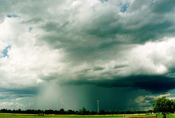 cumulonimbus thunderstorm_base : Richmond, NSW   29 January 1995