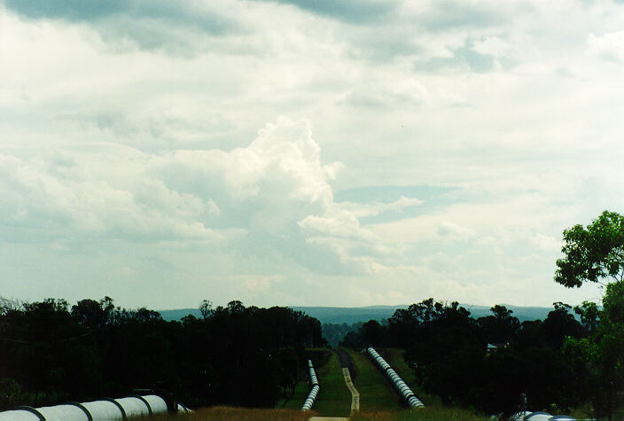 cumulus congestus : Mulgoa, NSW   5 February 1995