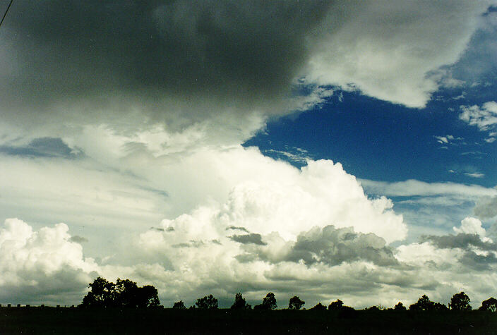 thunderstorm cumulonimbus_calvus : Castlereagh, NSW   5 February 1995