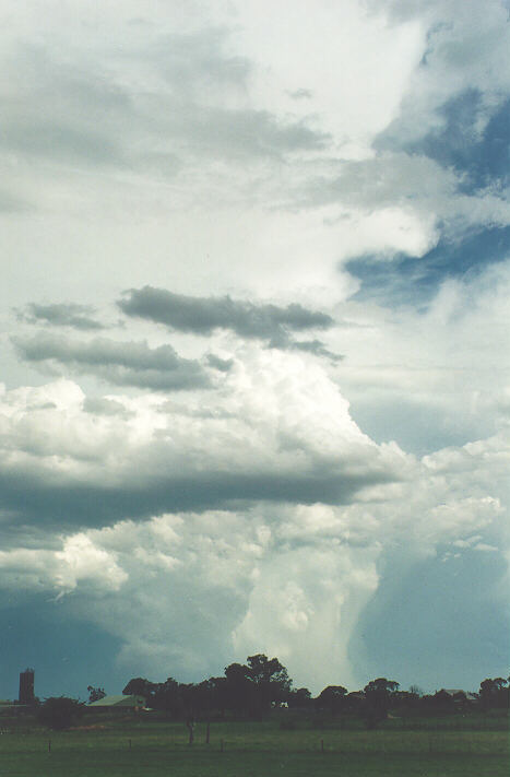 raincascade precipitation_cascade : Richmond, NSW   5 February 1995