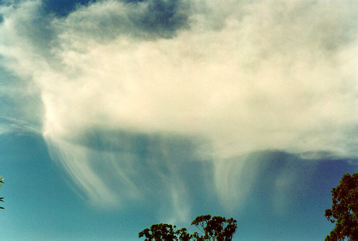 cirrus cirrus_cloud : Oakhurst, NSW   11 February 1995