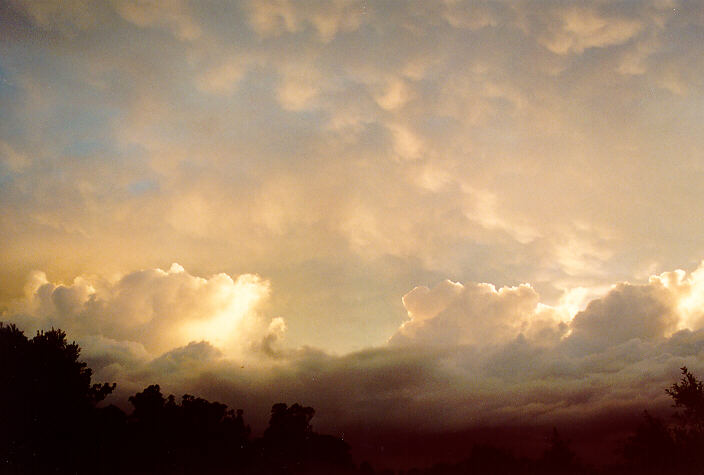 altocumulus altocumulus_cloud : Oakhurst, NSW   3 March 1995