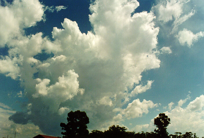 cumulus congestus : Oakhurst, NSW   19 March 1995
