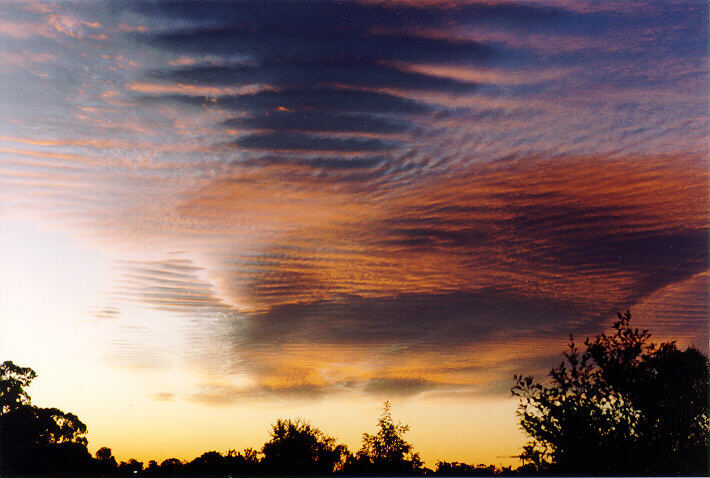 altocumulus undulatus : Oakhurst, NSW   11 July 1995