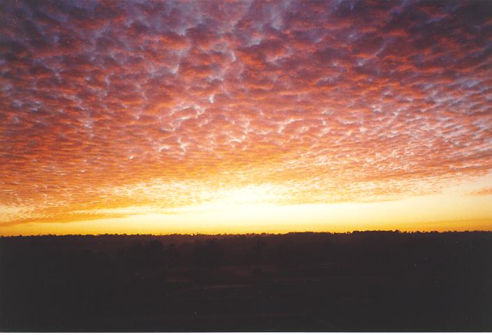 altocumulus altocumulus_cloud : Schofields, NSW   21 July 1995