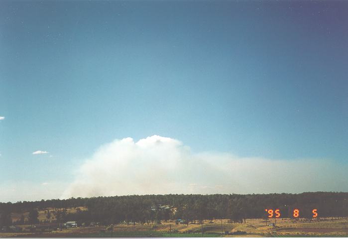 cumulus pyrocumulus : Schofields, NSW   5 August 1995